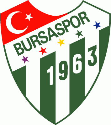 Bursaspor 2000-Pres Primary Logo t shirt iron on transfers